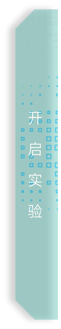 start Experiment ICON